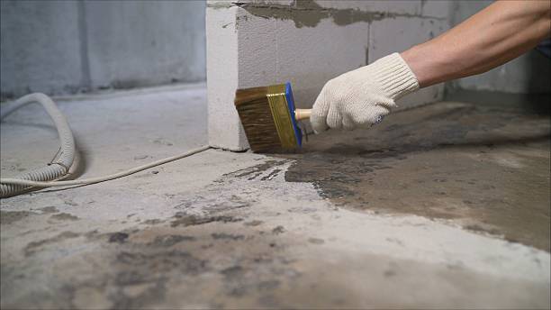 Top rated local Basement Waterproofing specialists in Thorn Hill, TN